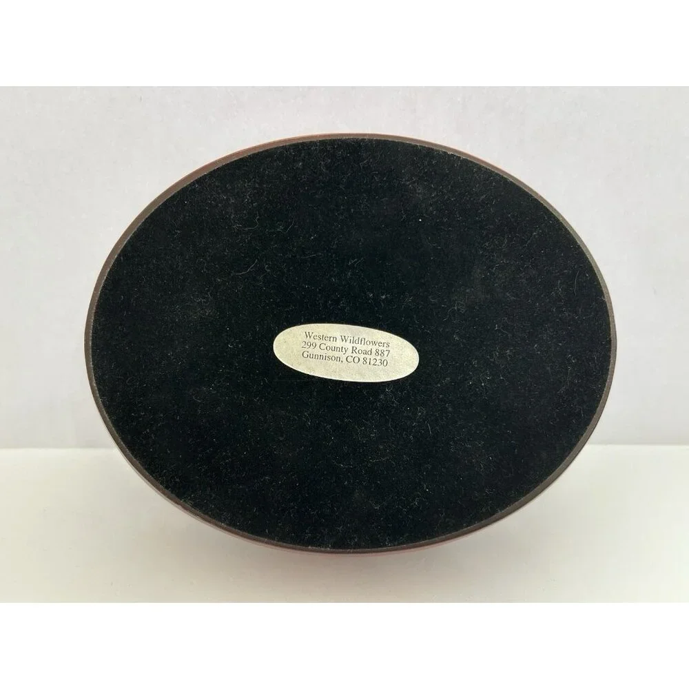 Jewelry Trinket Box Dried Pressed Wildflowers Oval Picture Frame Cottagecore